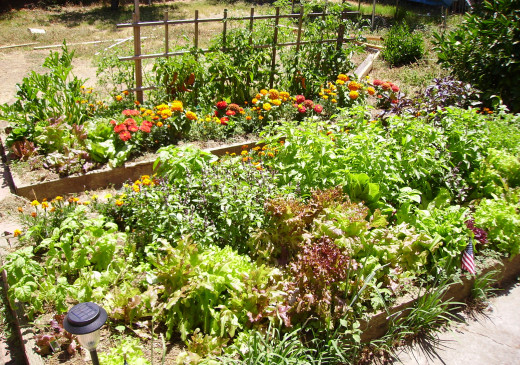 Backyard gardens are the feature many buyers seek.