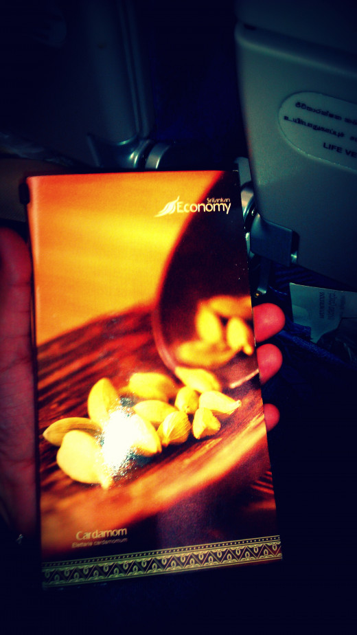 Menu book for economy class