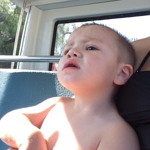 the tram ride from parking lot to the entrance