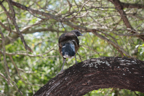A parent showing me they way down the trail. "On your way, now." A parent showing me they way down the trail. "On your way, now."
