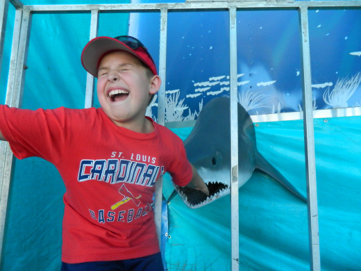 Caleb at the Shark Show, playing with one of the inhabitants. Personally I think this may not be as much fun for Caleb as for the shark.