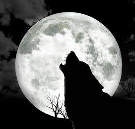 Superstition: Werewolf appear at site of full moon