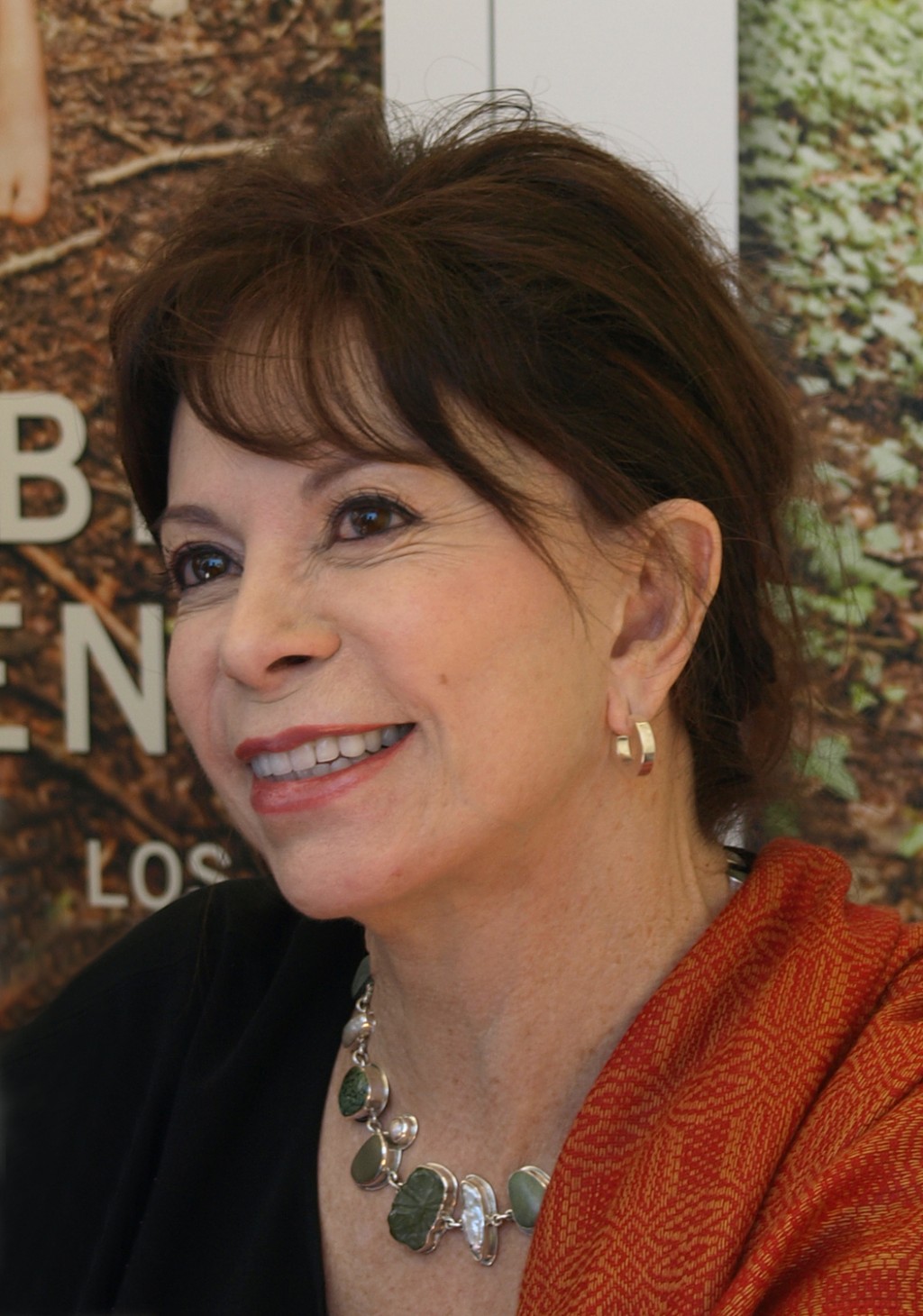 of love and shadows by isabel allende