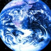World Search profile image
