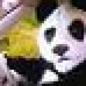 pharmd profile image