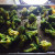 Place on a baking sheet Place on a baking sheet