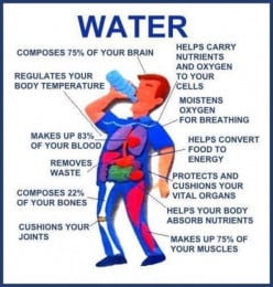 Why Dehydration Can Be the Answer