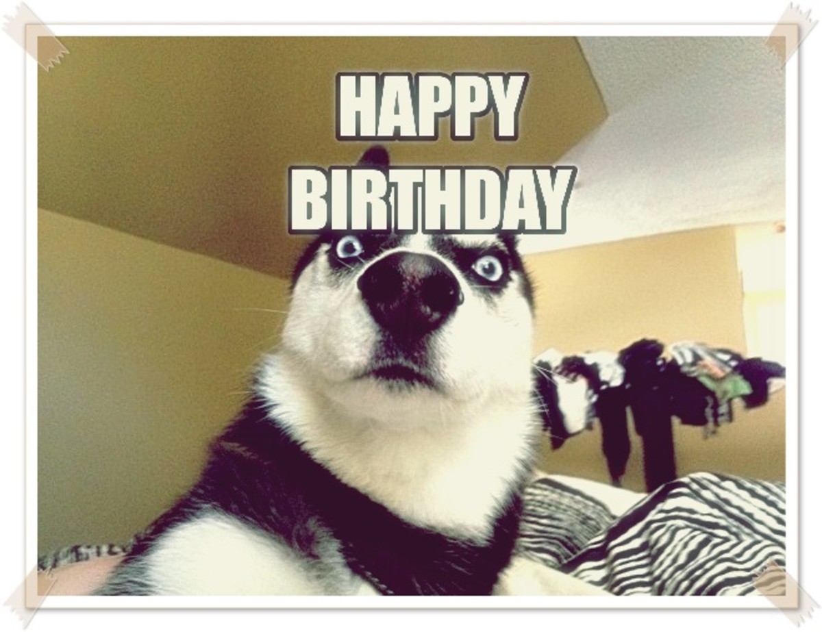 Happy Birthday Meme For Friends With Funny Poems | HubPages