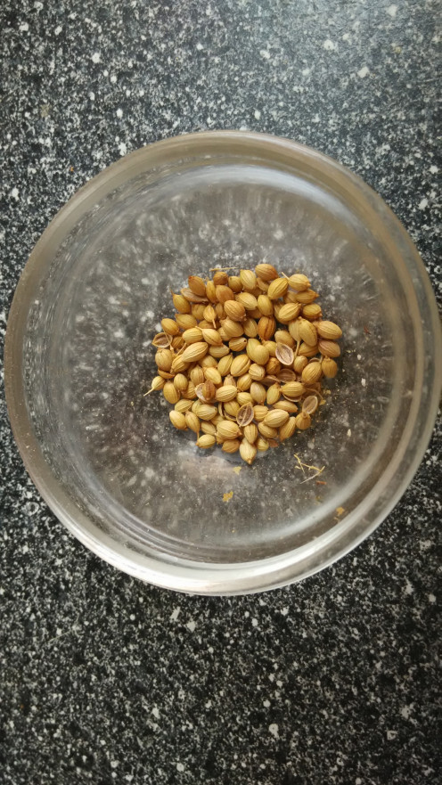 Coriander seeds(dhaniya)