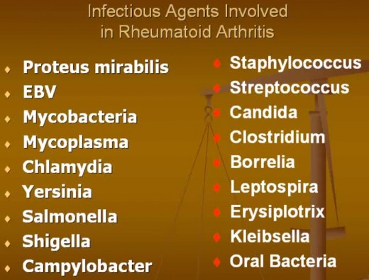 Infectious bacteria in autoimmune disease; RA and Lupus-like.