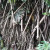 Look at those Roots on this tree. Look at those Roots on this tree.
