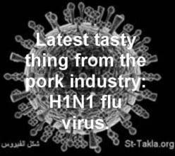 How to Prevent Influenza A H1N1 Virus