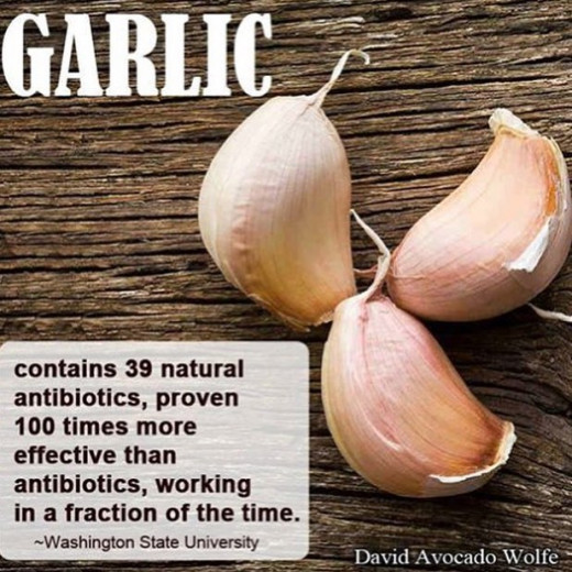 Garlic (Allium sativum) is a plant used as a food as well as a folk medicine for centuries by different cultures. can be used as natural treatment against autoimmune diseases; Rheumatoid Arthritis (RA), Systemic Lupus, Hashimoto’s Thyroiditis, HIV