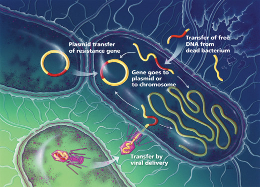 Bacterial drug resistance is a matter of natural adaptation. The longer a bacterium is exposed to a given drug, the more likely it is to develop universal resistance. Bacteria pull out all of the stops in order to resist drugs. They may release speci