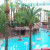 The pools at The Flamingo.