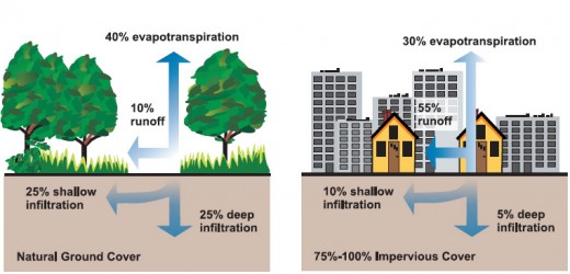 Source: U.S. Environmental Protection Agency, Washington, D.C. "Protecting Water Quality from Urban Runoff." Document No. EPA 841-F-03-003