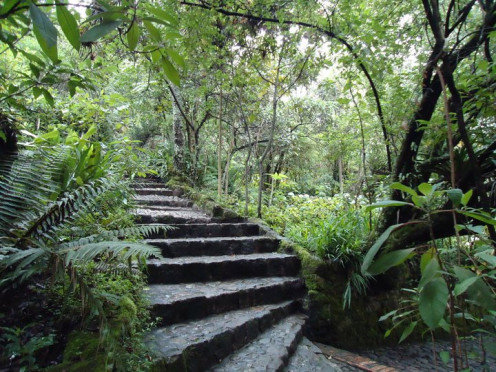 We all  follow paths in life. If we follow the path of Jesus then we will never get lost or go astray.
