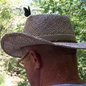 alfred1128 profile image