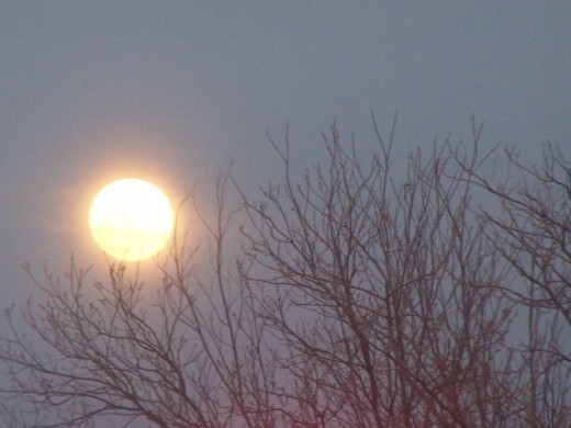 A patient moon overlooks the night sky..as men below scheme in earthen shadows...