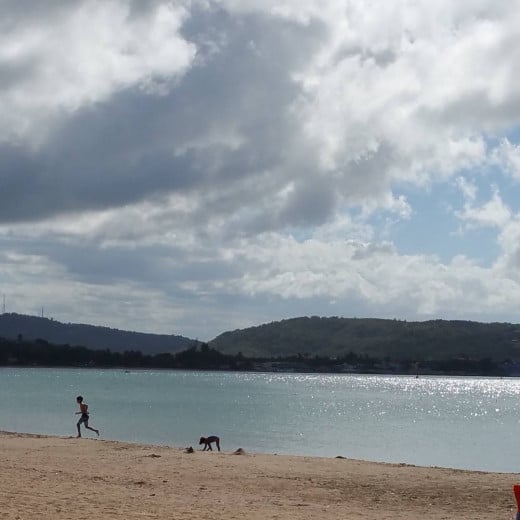 Warm water and beautiful scenery. Remember that the water is live with jellyfish! Enter at your own personal risk. 