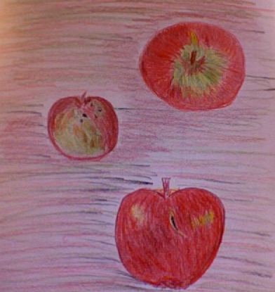 Organic apples from Madison Farmer's Market. Color Pencil Sketch by Mirna E. Santana