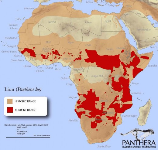 Map by Panthera showing historic range and current range of African lions