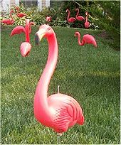 Plastic pink flamingos