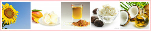 Natural & Organic Ingredients of lip balms
