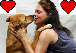 Dog's Response to Smells Reveals Importance of Humans, Study Says