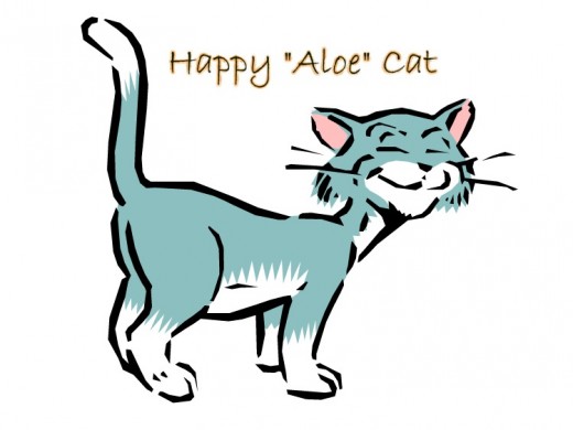 "I love Flavored Aloe Vera Juice daily on my food. It keeps me healthy! Yes, it is safe for me too."