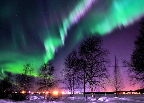 Ethereal display of colored reddish or greenish lights shimmering across the night sky. 