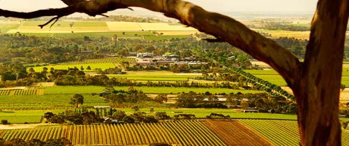  Famous wine-producing region with a German Lutheran history. 