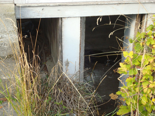The Abandoned House