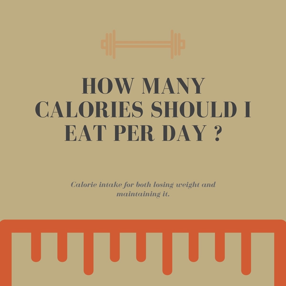how much calories to lose weight in a day