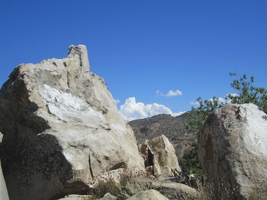 Large boulder with California buckwheat flowers at the base.