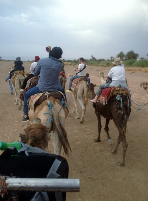 Camel trail into the desert