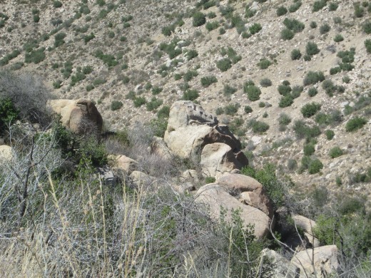 There is some dried out chaparral in front of the boulders.