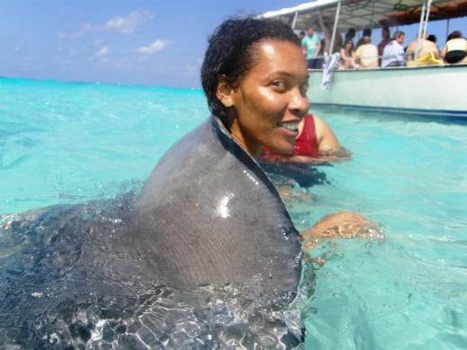 Getting massaged by a stingray at Stingray City, Grand Cayman