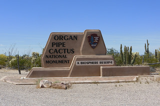 Organ Pipe Cactus National Monument, AZ