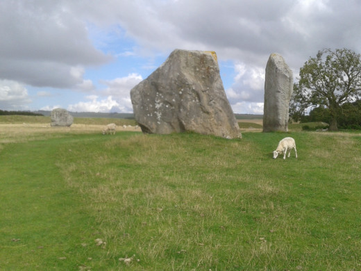 The Cove, Avebury, with sheep