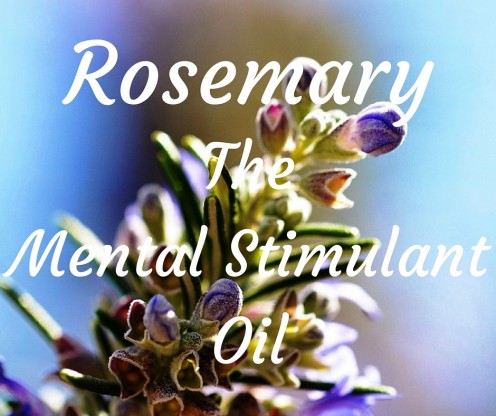 Rosemary improves circulation to the brain. One of many aromatherapy uses.