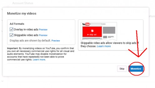 Next you click on the button "Monetize" in the new Window.