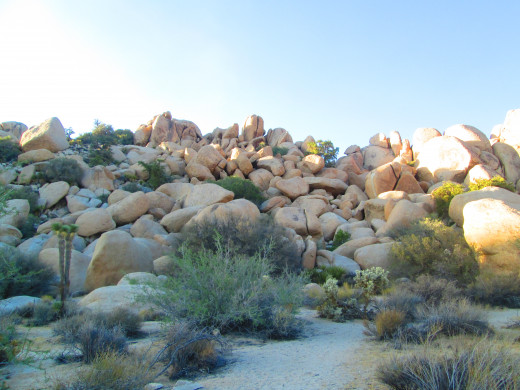 The large boulders are captivating.
