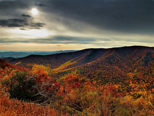 File: Purple-Mountain-Majesty-Virginia-ForestWander.jpg   CC-BY-SA-3.0-US