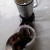 Grounding the Cacao Beans (Photo Source: Ireno Alcala) Grounding the Cacao Beans (Photo Source: Ireno Alcala)