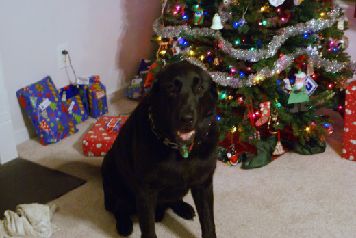 He is such a ham!