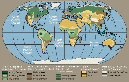 World's Terrestrial Ecosystem