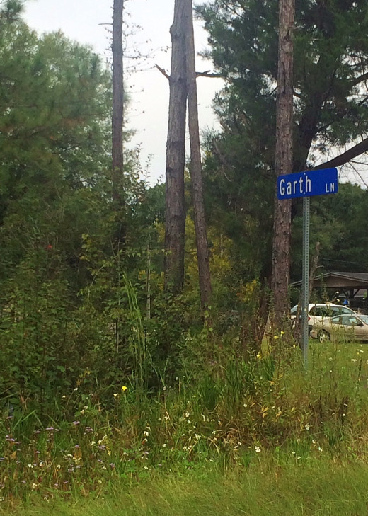 The end of our dirt rd. home. Named after my cousin who was killed in 1984 in a hunting accident. 