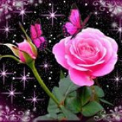 Destiny Rose 77 profile image