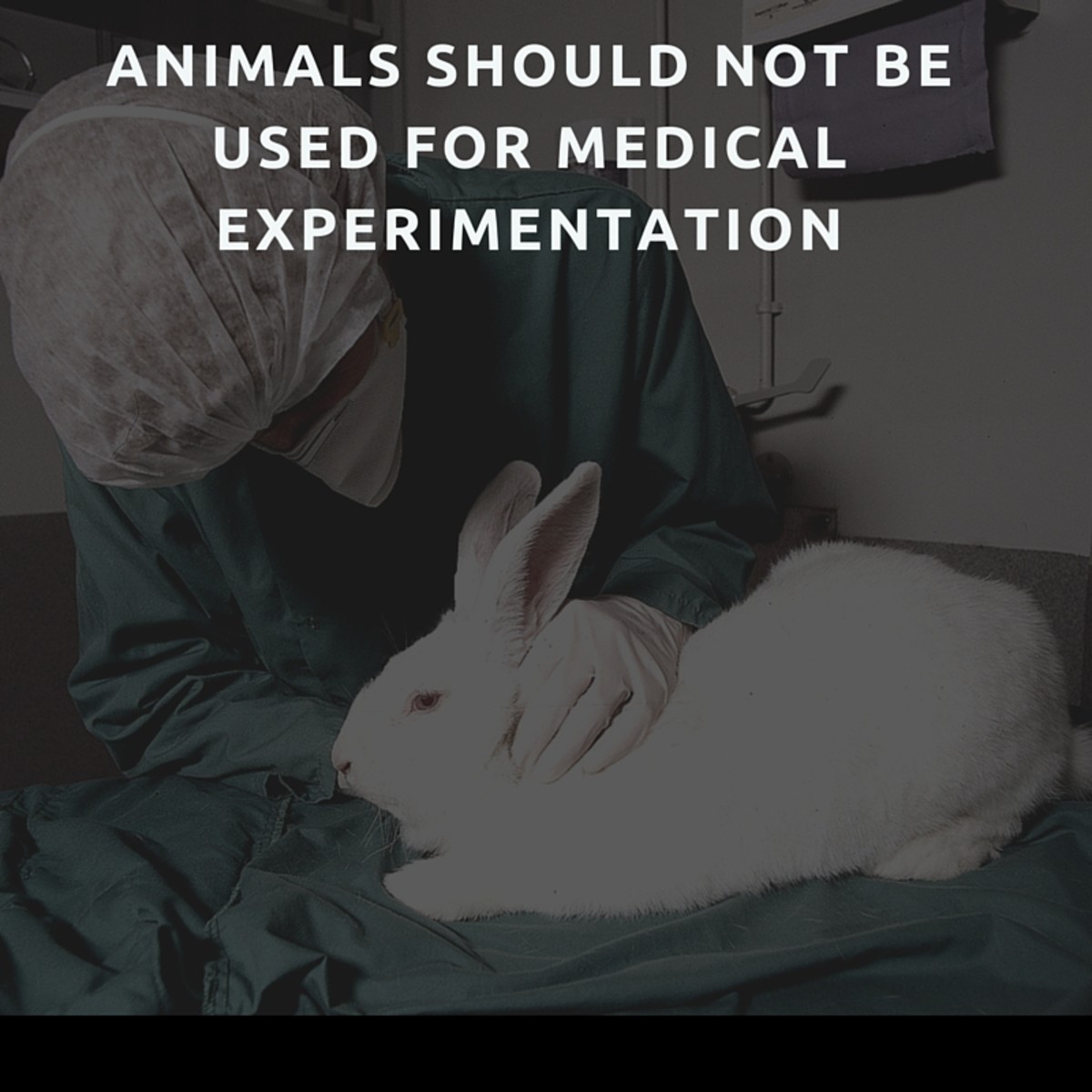 medical research without animals